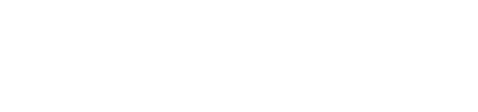 Diecast Endurance Channel — Made by Human